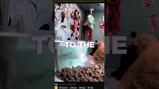 This is a really COOL website #pctips #techtok #tech #websites #shorts