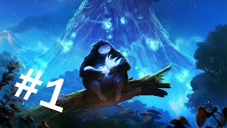 Ori And The Blind Forest #1: Thật Là Một Tựa Game Nhân Văn