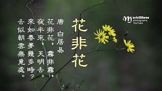 《 花非花 》霧非霧 •  唐 • 白居易  作曲：黃自 1935年 ( 演唱：李晟 ) ♥ ♪♫*•