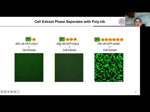 Harnessing degradation condensates for clearance of difficult-to-target proteins