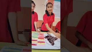 Best Science Project Science exhubition science Fair Project best idea
