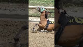 チャーチルダウンズ競馬場での致命的な転倒