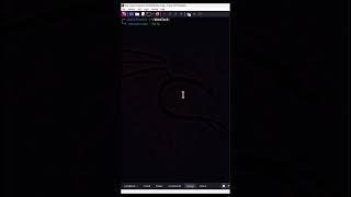 Vulnerability Scanner 漏洞扫描 Part 2 Unicornscan #黑客 #leocybsec #kalilinux