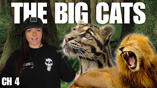 The Big Cats (That We Know Of) | History of Cats Episode 4