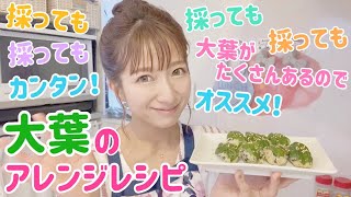 [Massive consumption] Shiso leaf recipe