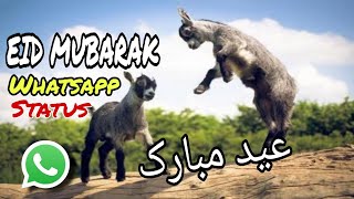 Eid ul Adha Mubarak Status 2020 || Eid Whatsapp Status ||Bakra eid mubarak special whatsapp ststus