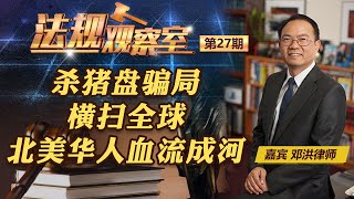 杀猪盘骗局横扫全球北美华人血流成河《法规观察室》20240508