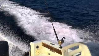 ROBALO 2120 "Bad Attitude"