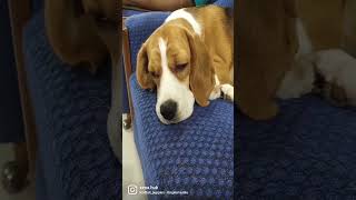 I'm so tired 😉