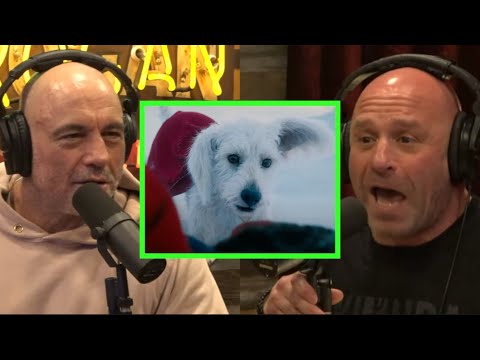Reacting to Superman's Dog and Anthony Mackie's America Comments