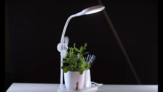 Xech Growstation: Hit or miss? | Tech It Out
