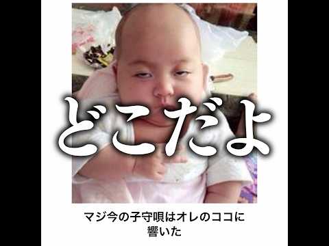 【赤ちゃんシリーズ】殿堂入りボケてがマジでツッコミどころ満載だったwww【1530弾】