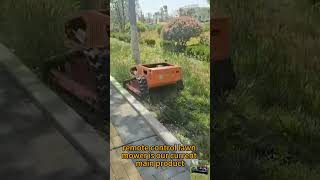 vendite dirette in fabbrica prezzo all'ingrosso basso Cina telecomando per tagliaerba in collina