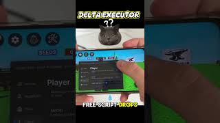 Must Know Changes in v2 674 Delta Update #deltaexecutor #deltaexecutornewupdate #arceusx #roblox
