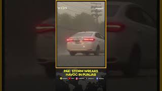 Pakistan: 14 Killed, Dozens Injured As Dust Storm Wreaks Havoc In Punjab | WION Shorts