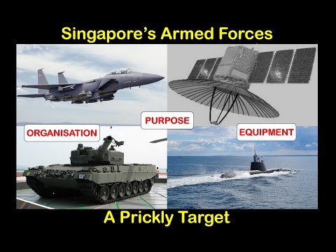 Singapore's Armed Forces - A Prickly Target