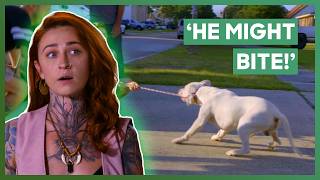Mariah Takes On Challenging Deaf Dog With Good Samaritan | Pit Bulls & Parolees | Love Animals