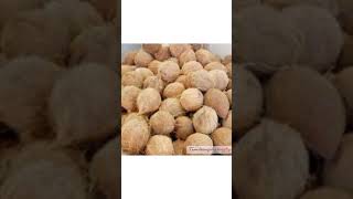 why coconut oil best for soap making? | handmade soap tips | coconut oil Tamilsoapmakingtips 25/100