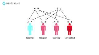 Understanding Alpha and Beta Thalassemia: Insights and Solutions | MedGenome