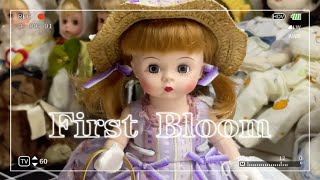 ［亚历山大娃娃］vlog.82 库存 Madame Alexander frist bloom 第一次花开
