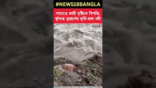 পাহাড়ে ভারী বৃষ্টিতে বিপত্তি, ফুঁসছে Dooars এর মূর্তি মাল নদী #shorts