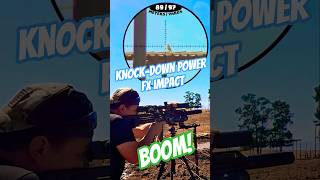 The Knock-Down Power of the FX Impact | 21gr Slugs at 1000fps #fxairguns