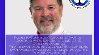 Palmetto Counseling Associates Provider Spotlight w/Dr. Dan Shoultz, MDiv, PhD Question examined: W…