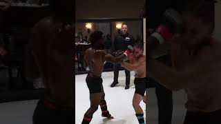 LeLeo Code Live MMA !
