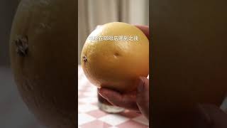 3種夏日氣泡飲品| 日本男子的家庭料理 TASTY NOTE