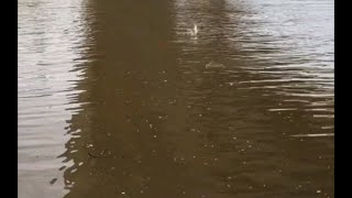 【】加拿大达到安全标准的直饮水真的能喝吗
