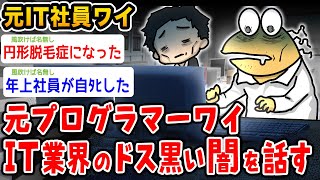 【悲報】元ITプログラマーワイ、IT業界の暗黒の闇を教える………【2ch面白いスレ】