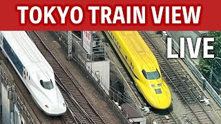 東京駅トレインビュー・新幹線ライブカメラ（有楽町カーブ）