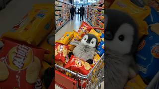 Find a cute penguin#cute #penguin #animals #funny #game #babyanimals #adorable