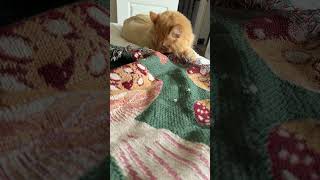 Woven blankets on Printify #printondemand #ecommerceproducts #etsyseller