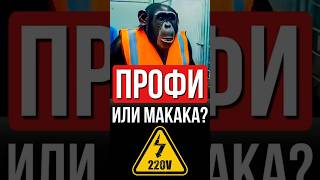 Стань ПРОФ Электриком, Мартышек на объекте и без тебя хватает!