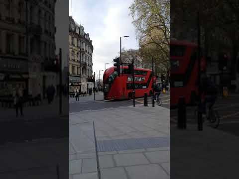 London, bus, museums