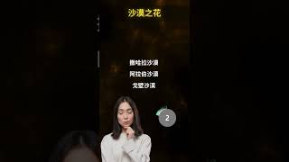 谜题探秘局：解开思维之锁