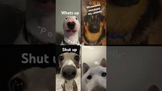 Group calls be like