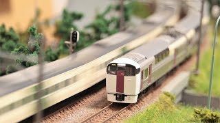 【鉄道模型】215系 東海道線 快速アクティー Nゲージ走行動画