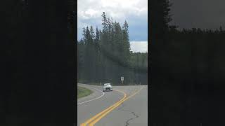 Scenic Bow Valley Alberta