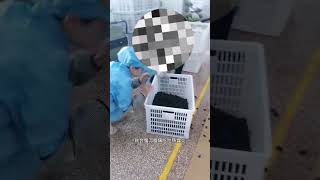 食品安全#食品安全