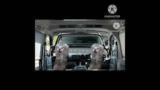 真夏の夜の淫夢 第一章 猫バージョン #猫ミーム #猫マニ #猫淫 #ネコミーム