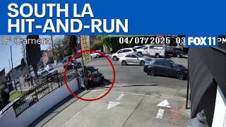South LA hit-and-run: Teen on biked slammed into fence