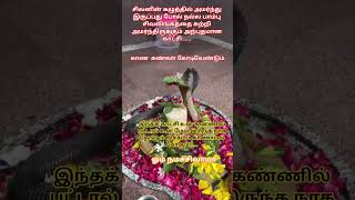 ஓம் நமச்சிவாயா🙏#god #shiv #magadev#lordganesha #loardshiva #murugan#tamilgod #omletarcade #om#ometv