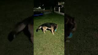 baby Axel &Luna