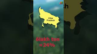 Top Watermelon Producing States in India - Import & Export | Cokion