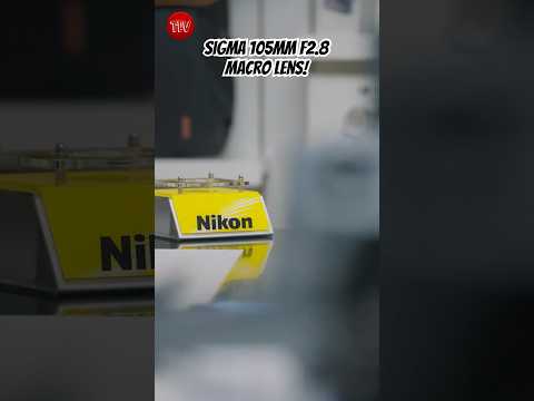 Insane Detail! Sigma 105mm F2.8 Macro Lens!