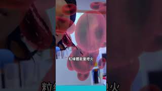 糖尿病十大诱因！【粵語｜繁體】｜#shorts