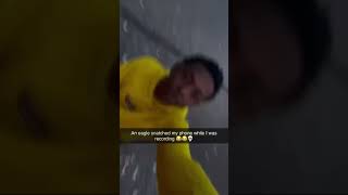 🦅 📱