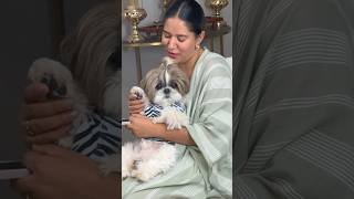 Himangshu and Murphy  are H&M❤️ of my life 🧿